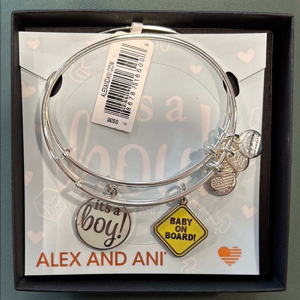 Alex and Ani Silver Baby Charm Bangle